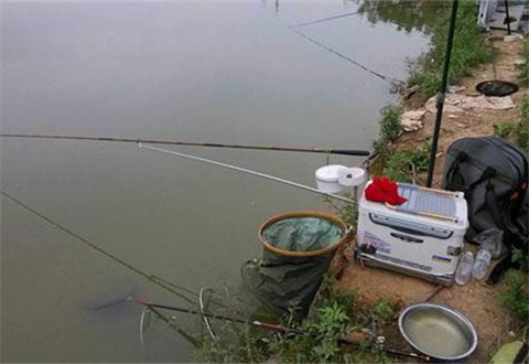 冬天釣魚，釣鯽魚要走，釣鯉魚要守