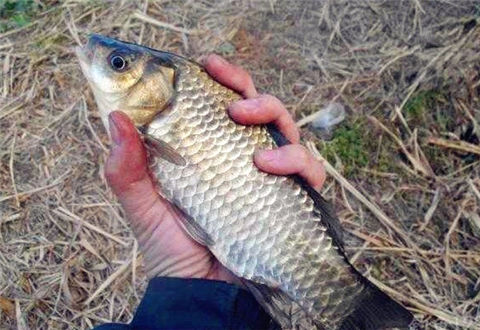 冬季水庫釣魚須做這些調整