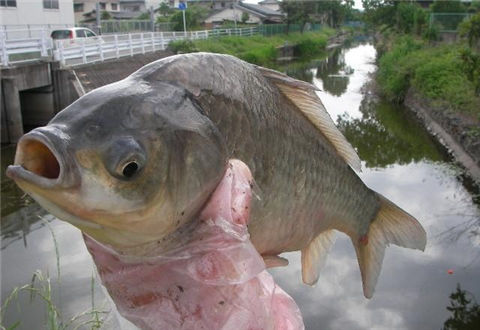冬季釣魚，要根據不同的天氣判斷釣深還是釣淺