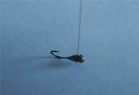 冬天朝天鉤釣魚的效果和優勢