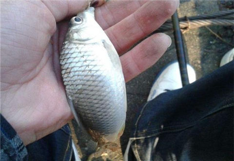 釣友應當知曉的冬季釣魚五不釣