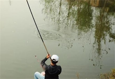 大鯽魚冬天最好釣？前提是掌握這3招