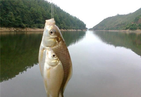 冬釣的經驗都在這一篇里