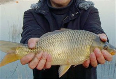 冬季釣魚幾個易被忽視的小技巧