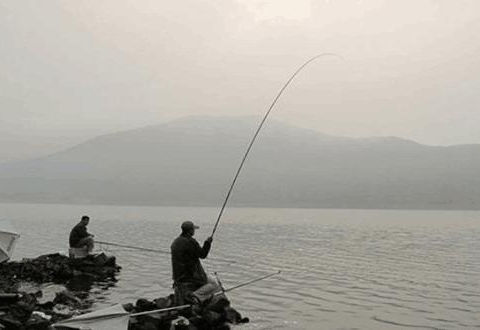 冬釣遇到魚口輕，通過調漂來解決