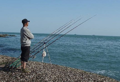 冬季魚口太輕怎么辦？三大絕招助你輕松應對輕口魚