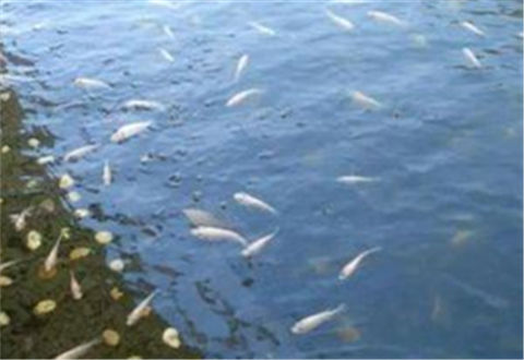 冬季釣魚心慌慌，爆護技巧幫你忙