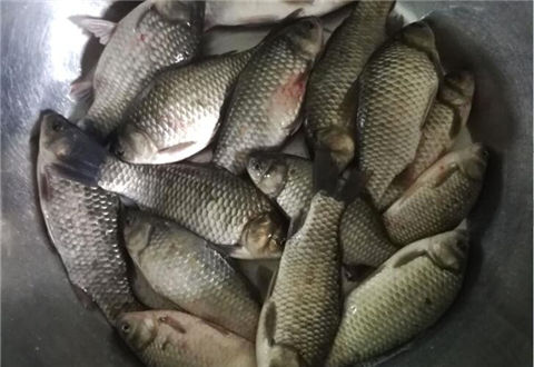 骨灰級釣友分享的冬季釣魚注意事項