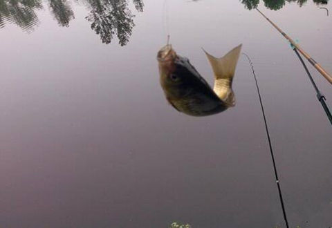 如何在寒冷的冬天里釣到大魚，7個建議