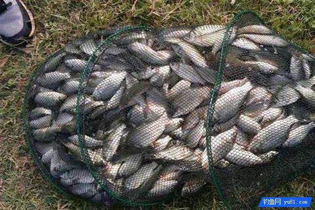 冬季釣魚爆護技巧,用到的釣友請拿走