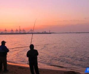 在大連，哪里可以進行海釣？都可以釣什么魚呢？