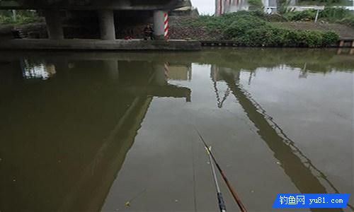 掌握這7條釣魚技巧 冬季釣魚不再難