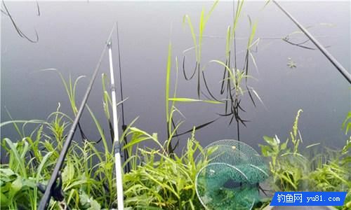掌握這7條釣魚技巧 冬季釣魚不再難