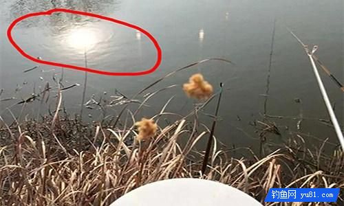 掌握這7條釣魚技巧 冬季釣魚不再難