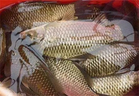 4個釣魚常識誤區，釣魚人別再犯了