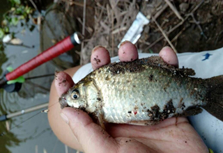 3個影響魚獲的漁具使用細節