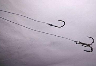 釣魚中子線到底要用多長？新手必看