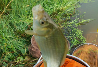 新手釣魚人容易遇見的7種情況