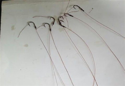 釣魚如何做到不走水？這個串鉤綁法別錯過