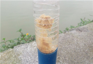 各種刺激魚兒開口的方法，都可以看看