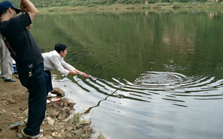 想要垂釣收獲好，應知魚識水