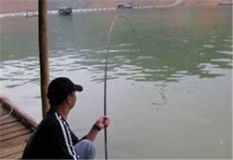 釣魚時使用軟竿好還是硬竿好？