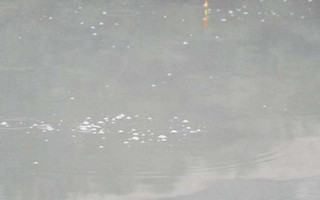 窩子魚星不斷但無魚咬鉤的三種情況