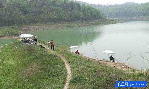 陌生水域釣魚如何判斷水里有沒有魚