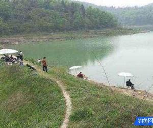 陌生水域釣魚如何判斷水里有沒有魚