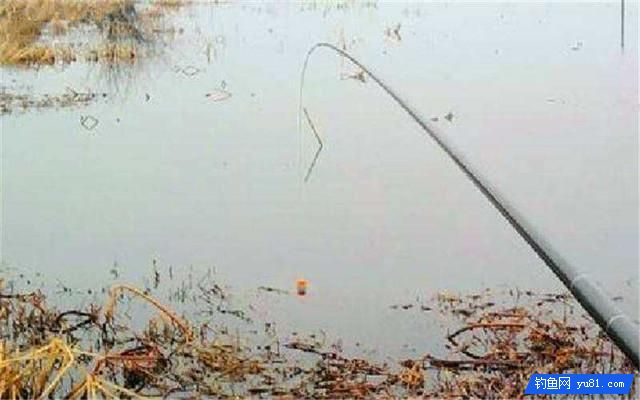 釣魚實用技巧：冬釣深淺？老釣友教你淺水選擇釣點釣魚技巧