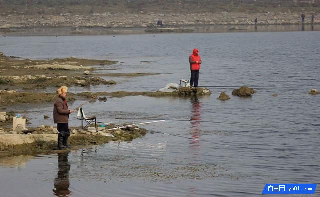 釣魚實用技巧：冬釣深淺？老釣友教你淺水選擇釣點釣魚技巧