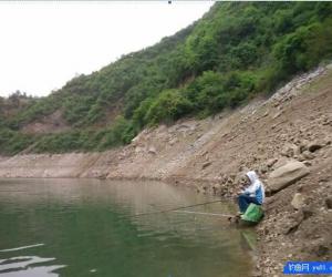 冬釣深淺？老釣友教你淺水選擇釣點釣魚技巧