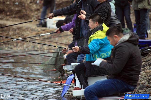 冬天釣魚,特別鯽魚,我把經驗分享給釣友們,上魚夠牛!