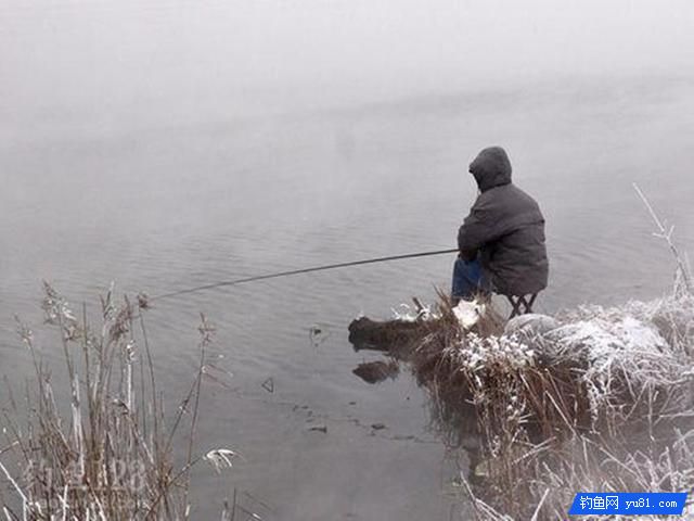 冬季釣魚先找鯽魚窩，準能上大鯽！釣友們趕緊收藏