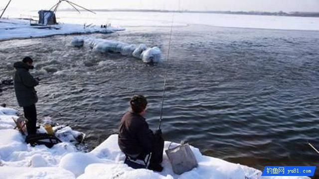 冬季釣魚先找鯽魚窩，準能上大鯽！釣友們趕緊收藏