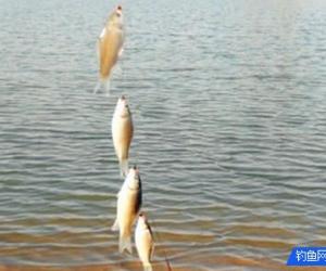 掌握這5種串鉤釣魚方法，快速上魚一整天，過癮！
