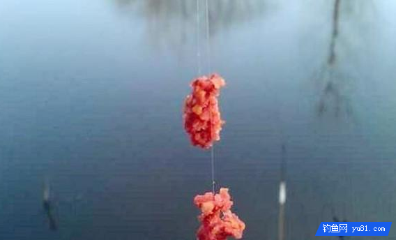 三月里，這么釣翹嘴才夠爽，不僅上魚快，還讓漁獲提高2倍以上