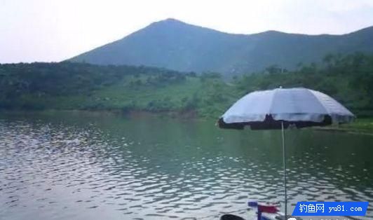 春季釣魚怎樣選擇釣位？這三個問題要分清先后！