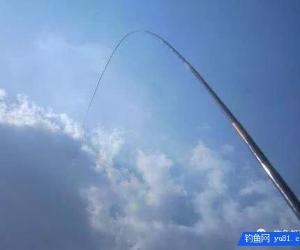 釣魚操竿，這四個動作千萬不能做！
