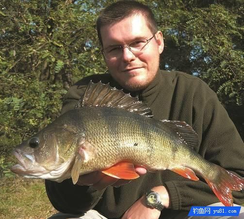 真后悔，現在才知道岸釣鱸魚不為人知的7個小妙招