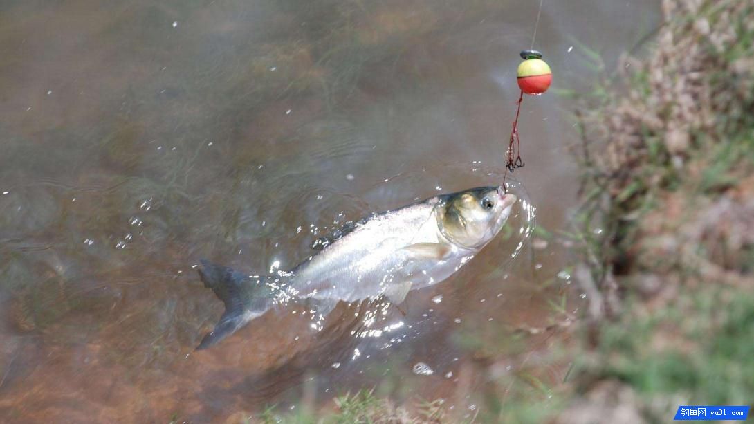 釣魚人常說的釣行程是什么？我們如何才能釣好行程？