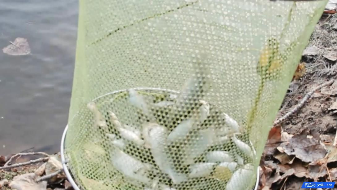 釣魚人常說的釣行程是什么？我們如何才能釣好行程？