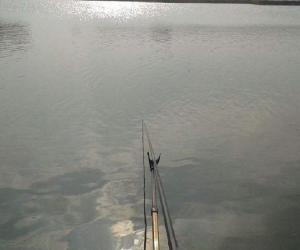 釣魚人常說的釣行程是什么？我們如何才能釣好行程？