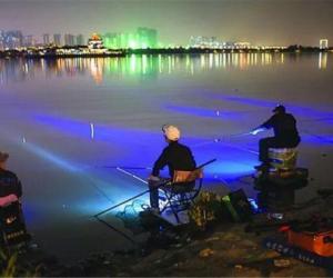 夏季夜釣必須要掌握這些釣魚技巧 !
