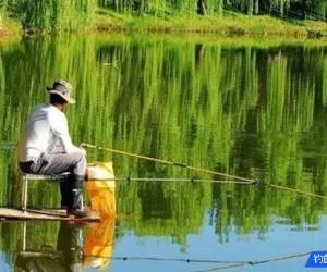到塘邊釣魚發現魚口輕，不知如何作釣怎么辦？這樣調漂就對了