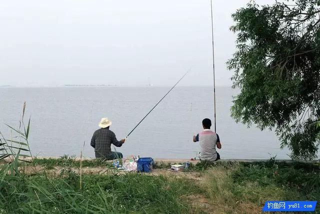 釣秋魚的三種釣法，受益終身