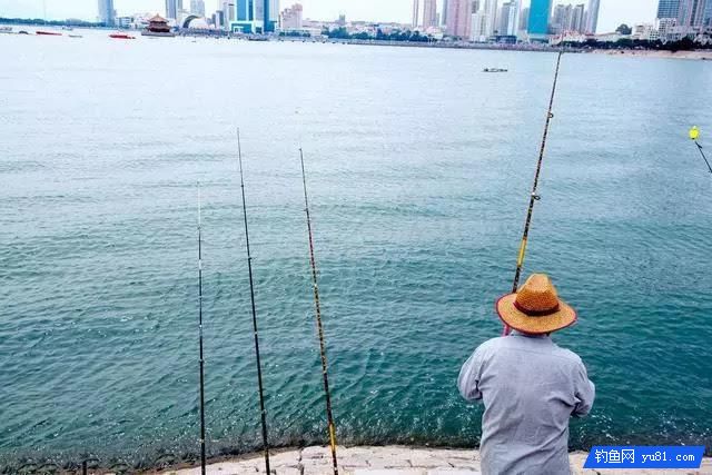 釣秋魚的三種釣法，受益終身