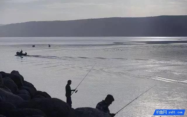釣秋魚的三種釣法，受益終身