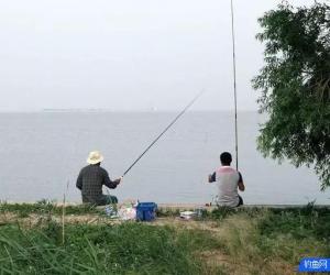 釣秋魚的三種釣法，受益終身