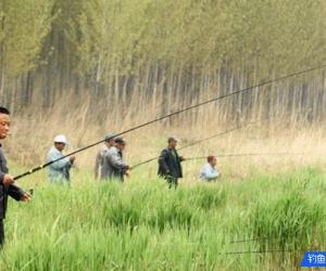 釣魚遇到9個問題！幫你一一解決